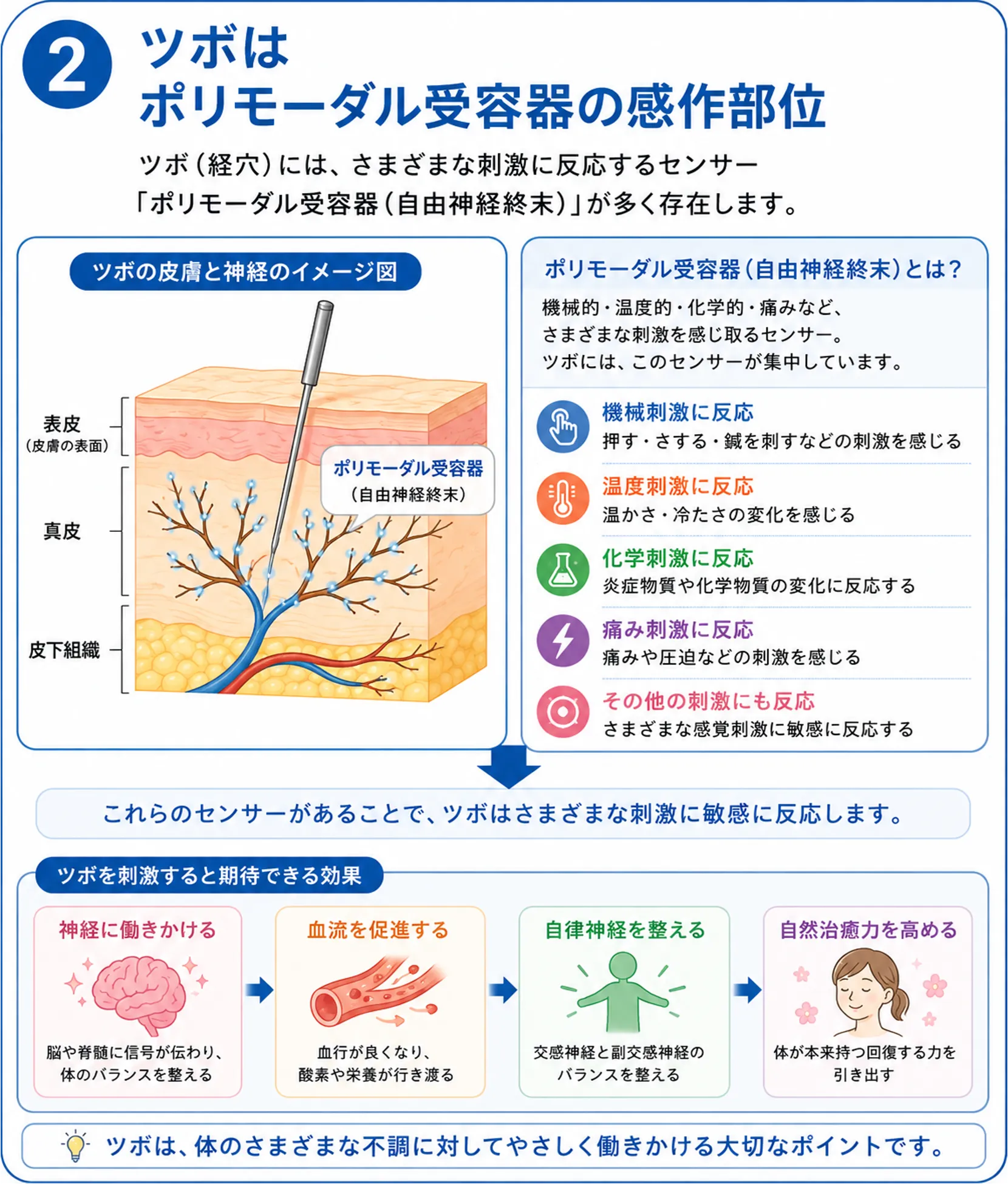 鍼灸治療の効果
