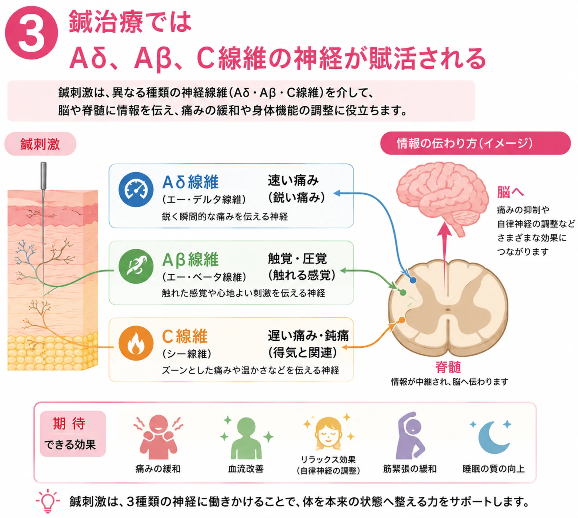 鍼灸治療の効果