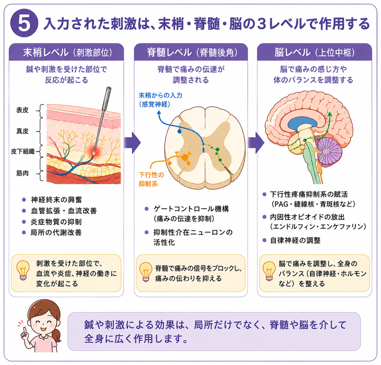 鍼灸治療の効果